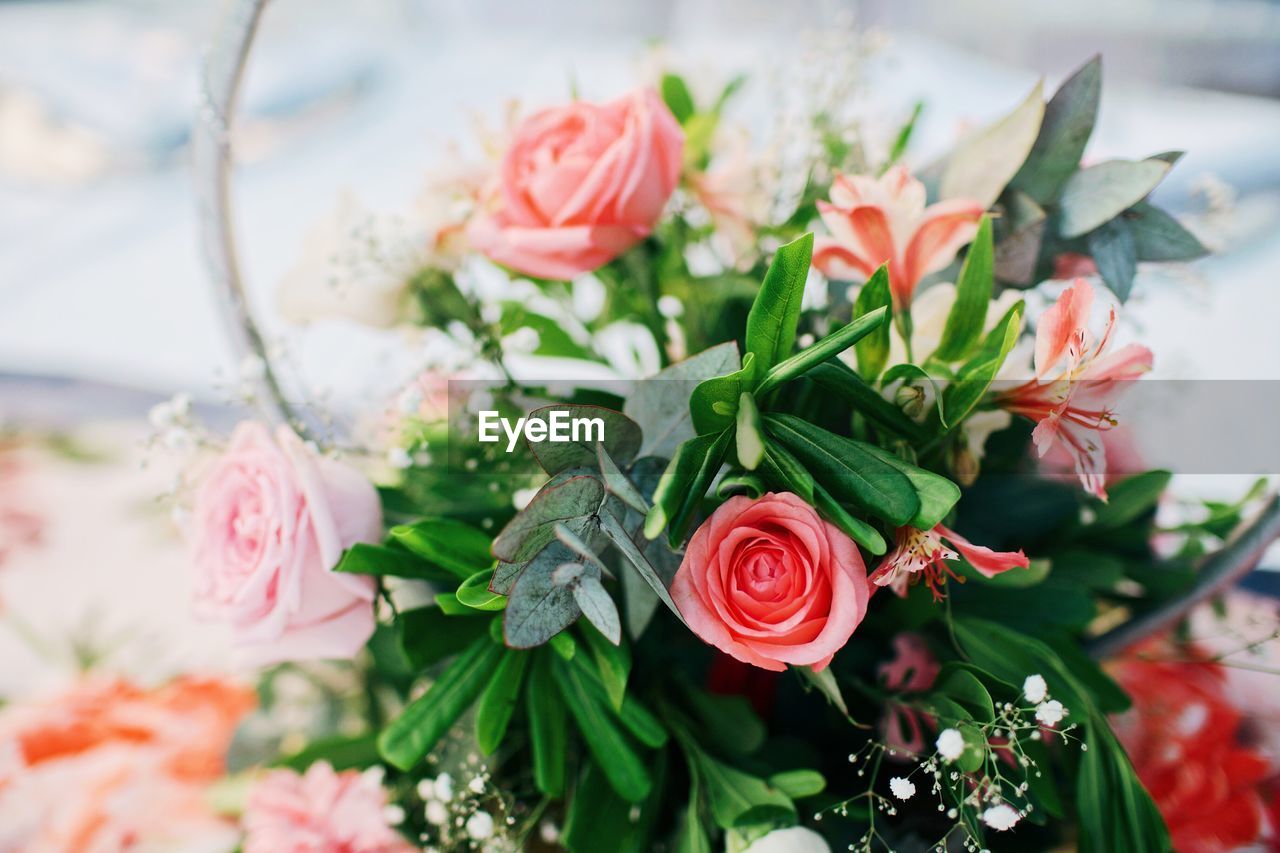 Close-up of rose bouquet