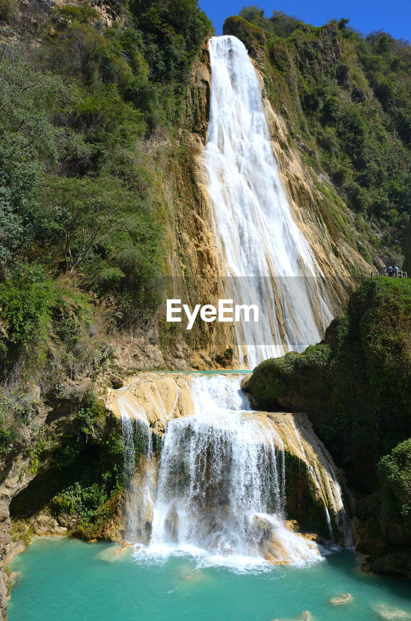 SCENIC VIEW OF WATERFALL AGAINST TREES