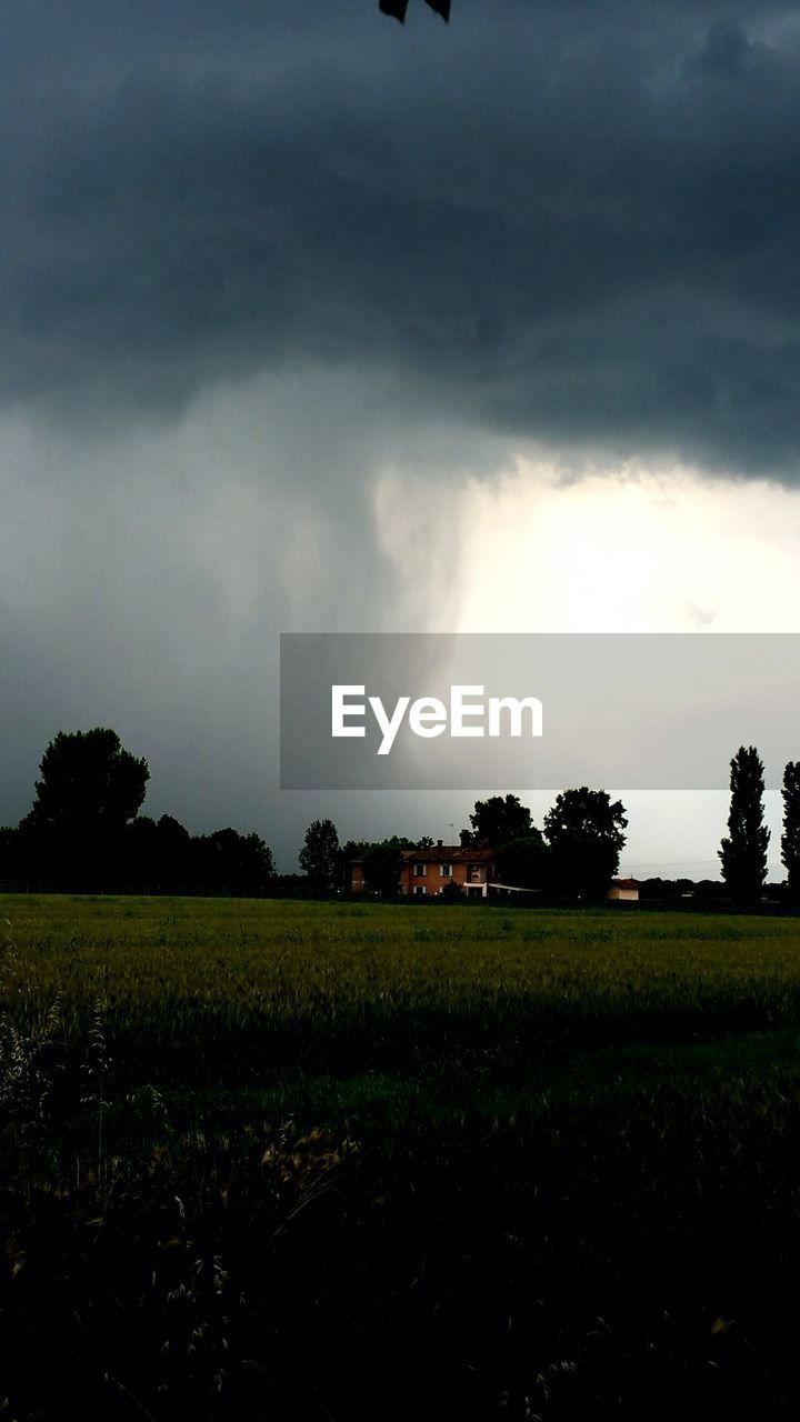 SCENIC VIEW OF FARM AGAINST SKY