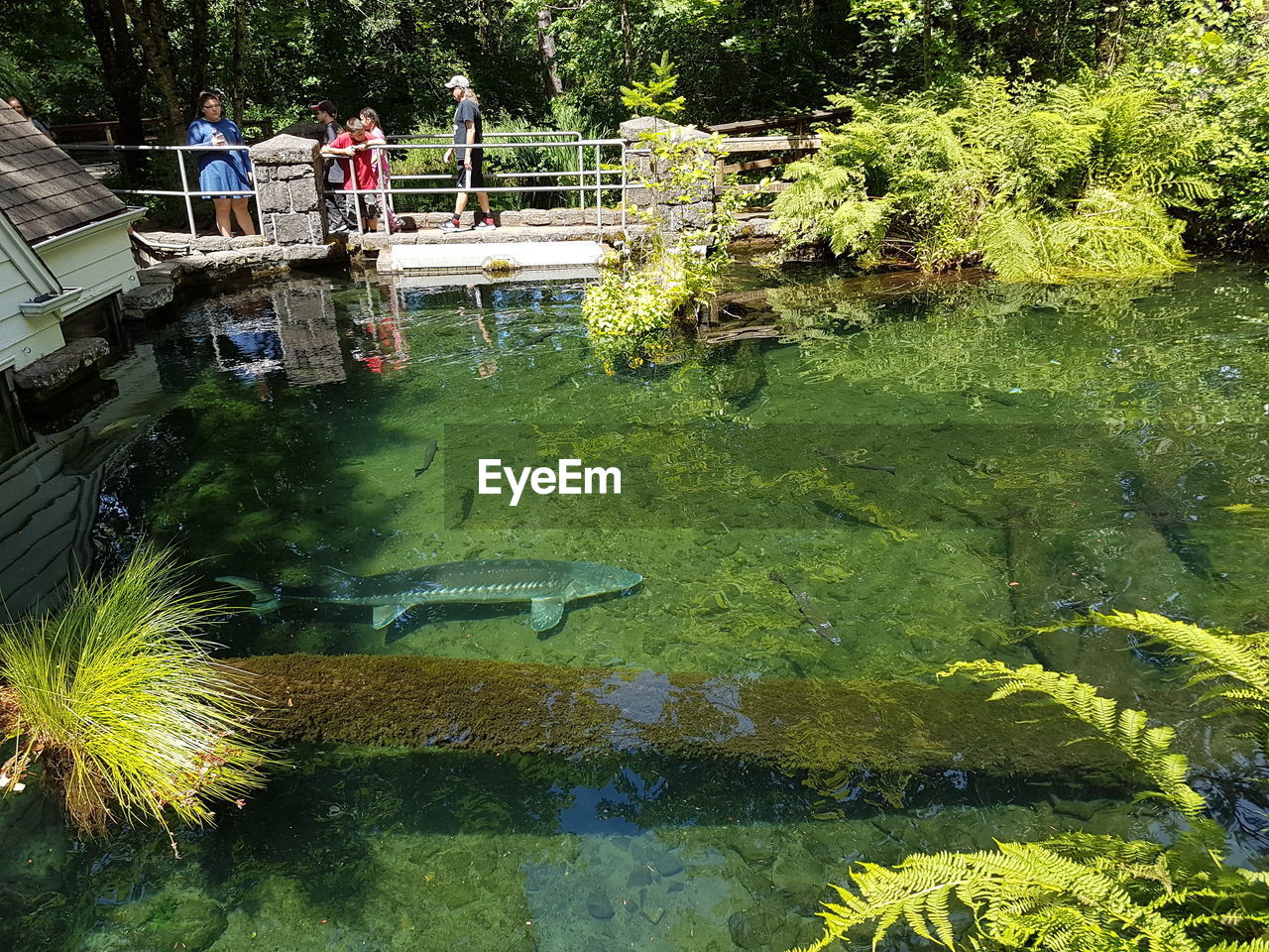 VIEW OF PEOPLE IN WATER