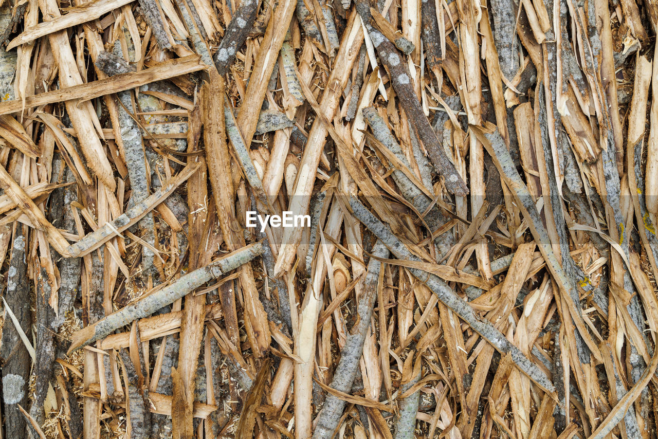 Shavings of aspen bark evenly cover a flat surface, close-up full-frame texture and background