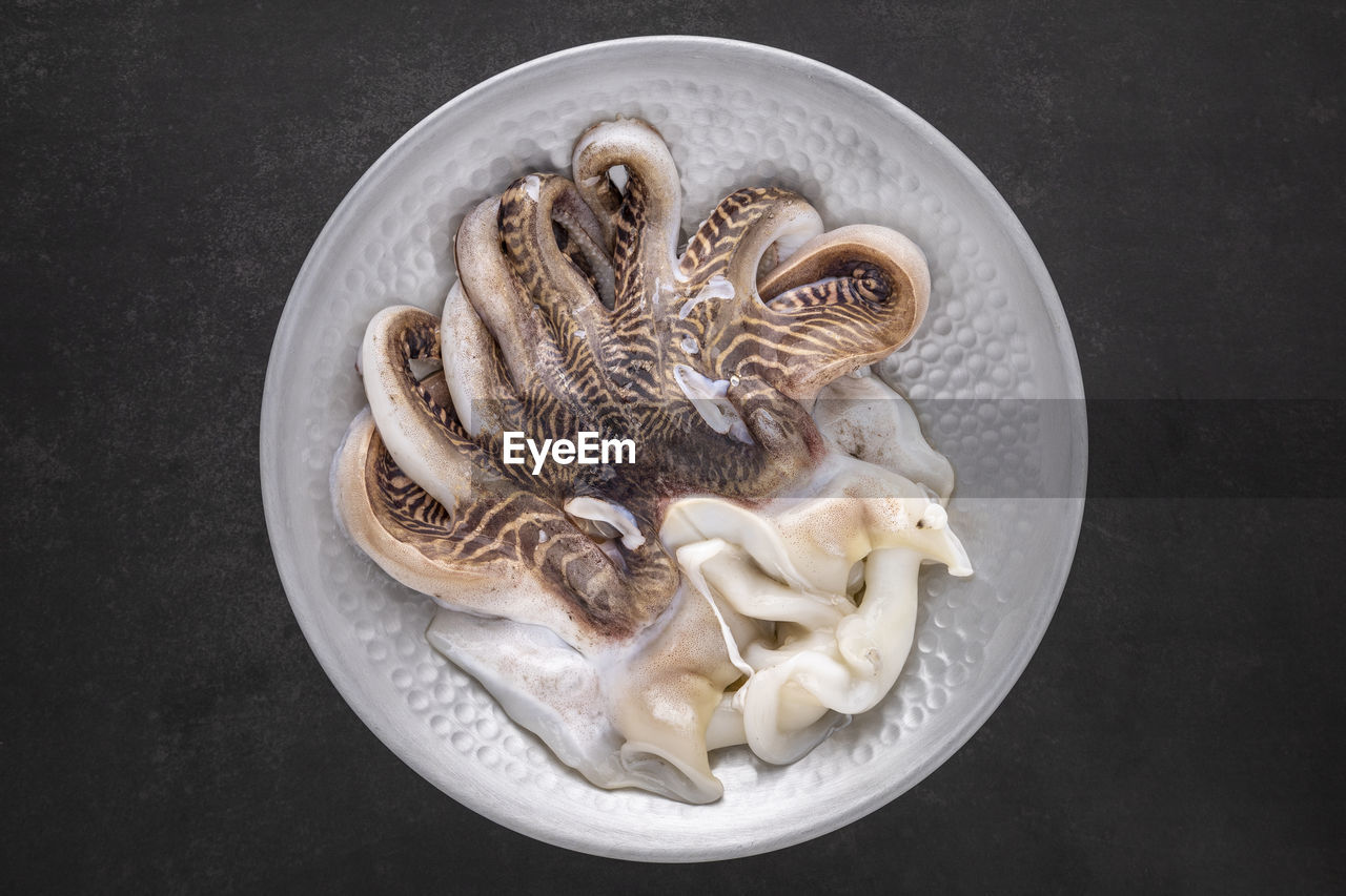 Fresh raw octopus in metal plate on dark grey texture background, top view shot