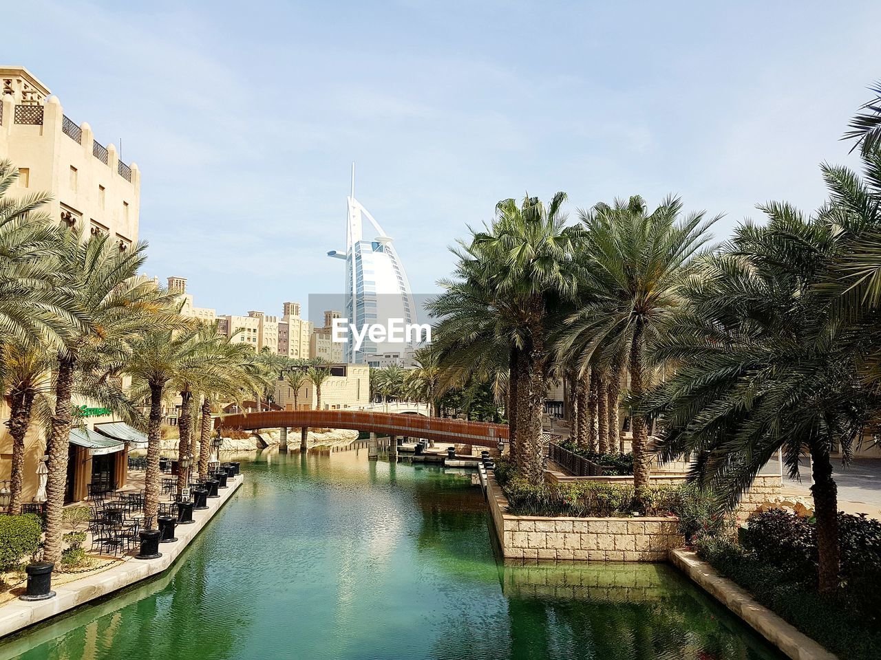 tree, water, architecture, built structure, palm tree, tropical climate, building exterior, plant, sky, nature, building, reflection, waterfront, no people, city, day, bridge, canal, travel destinations, outdoors, swimming pool, skyscraper