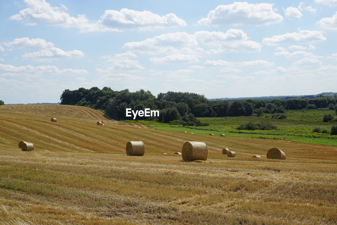 Hay bales on field against sky