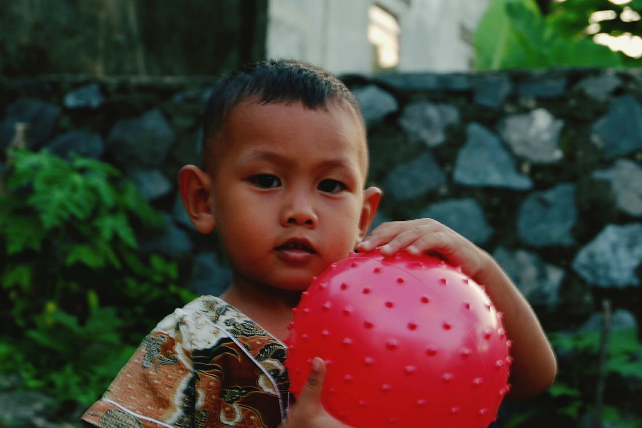 Close-up portrait of boy holding ball against plants