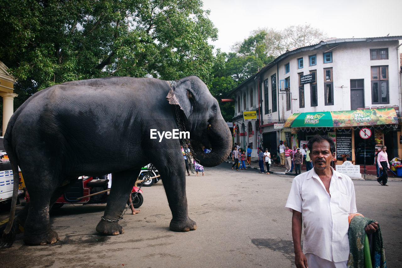 MAN STANDING IN CITY