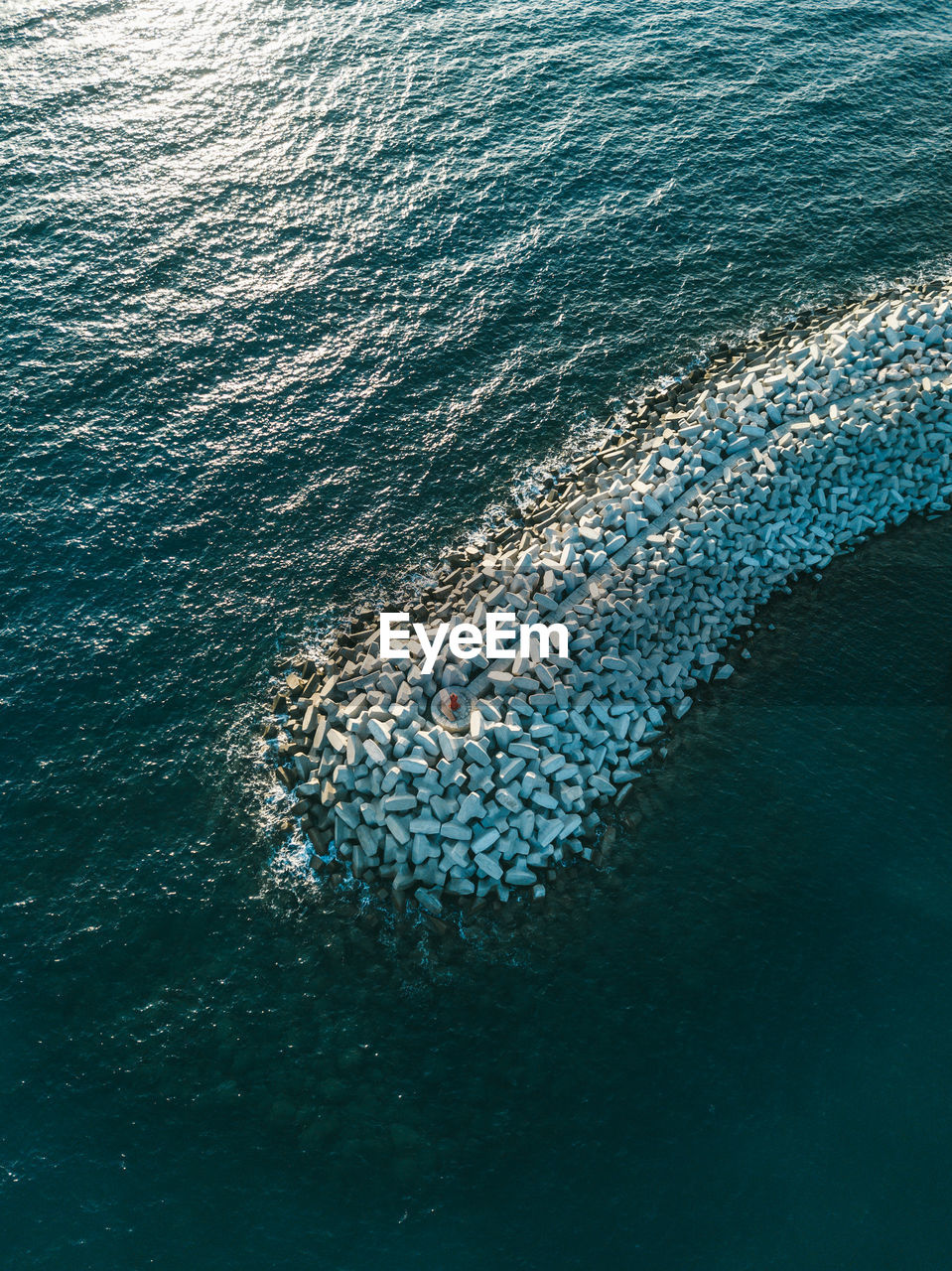 High angle view of jellyfish in sea