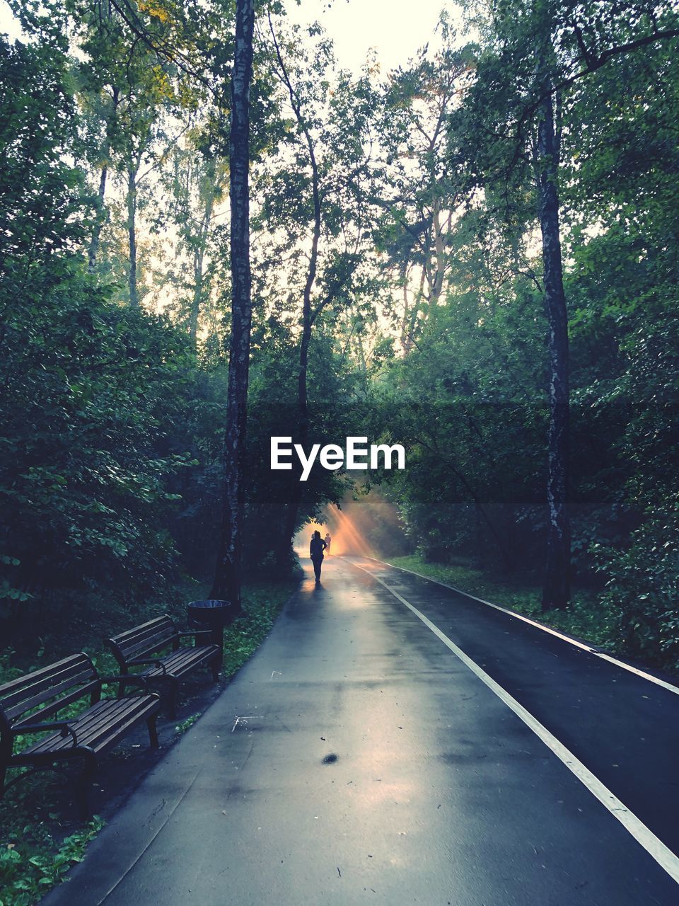 MAN WALKING ON ROAD IN FOREST