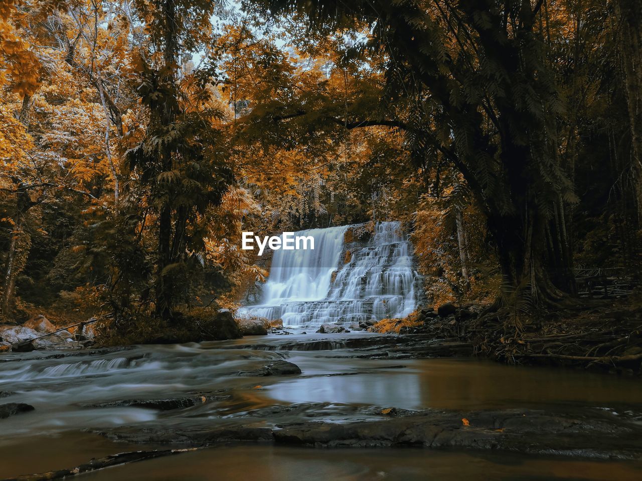 SCENIC VIEW OF WATERFALL
