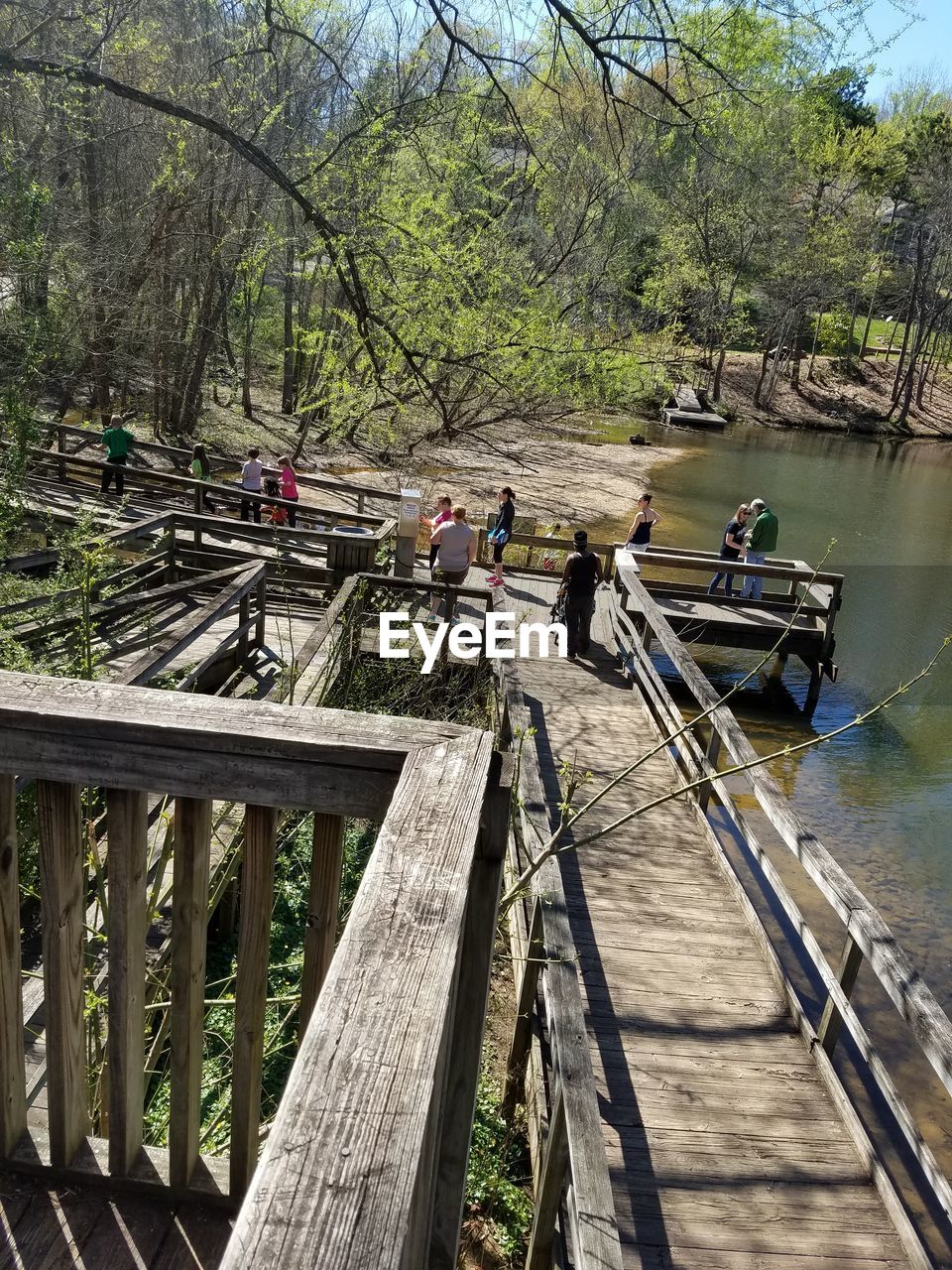 FOOTBRIDGE OVER TREES