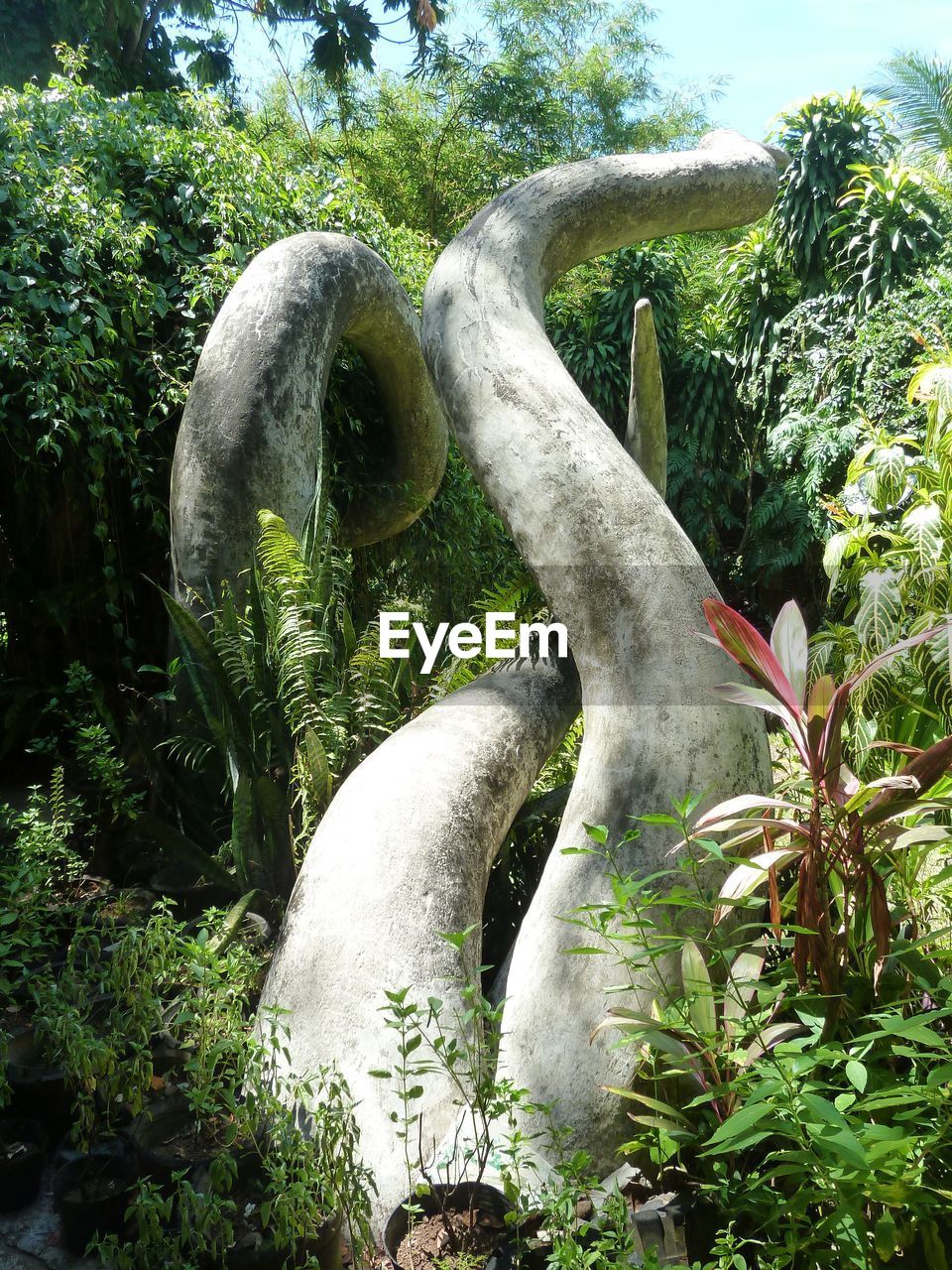 Plants growing by sculpture in garden