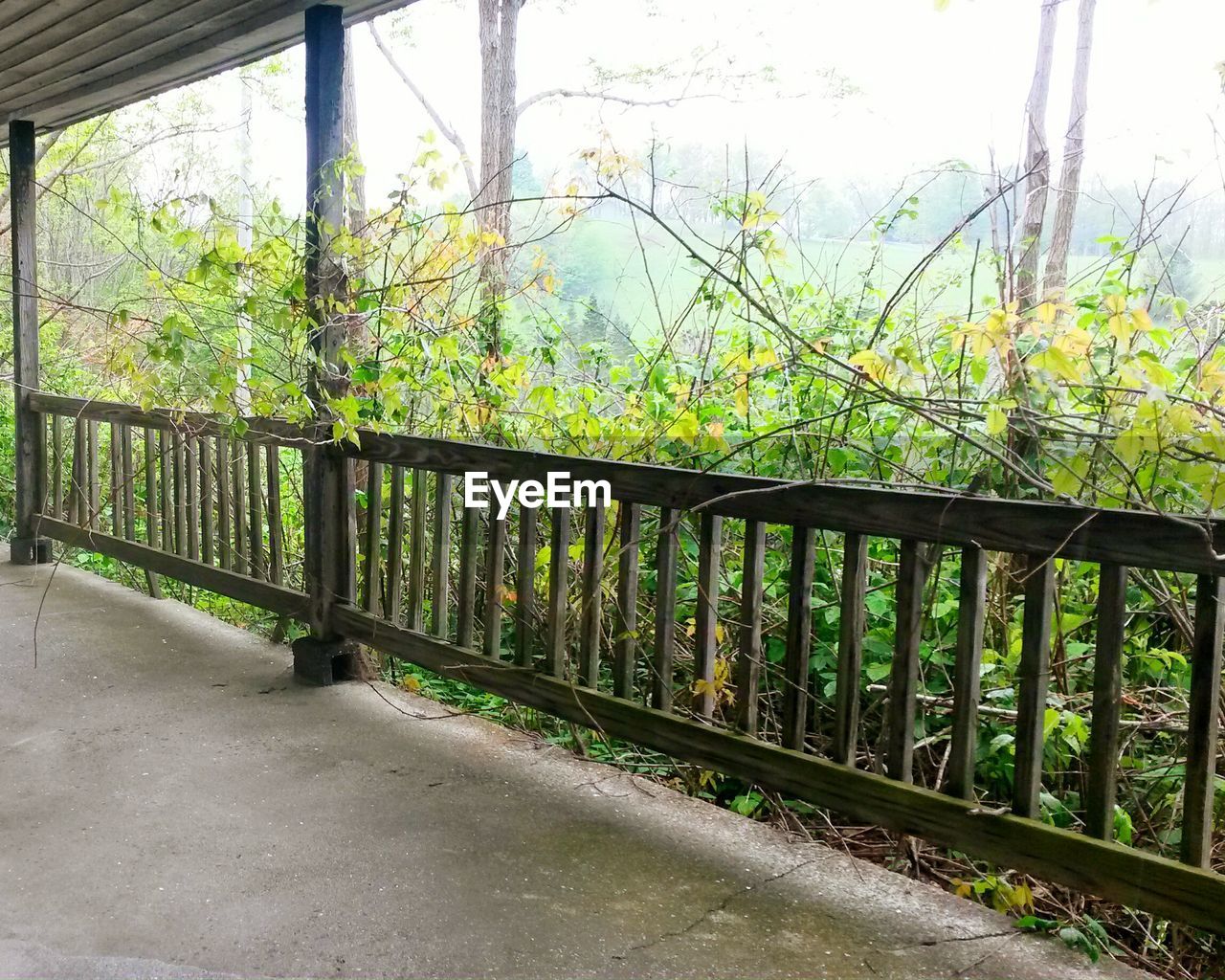 Wooden railing of abandoned house porch by plants in blue ridge mountains