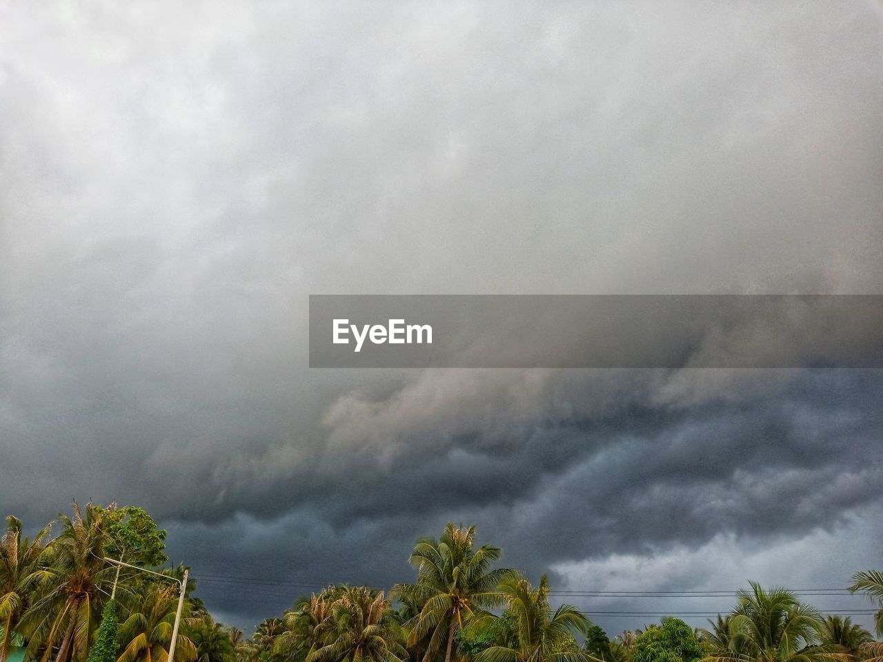 LOW ANGLE VIEW OF STORM CLOUDS OVER TREES