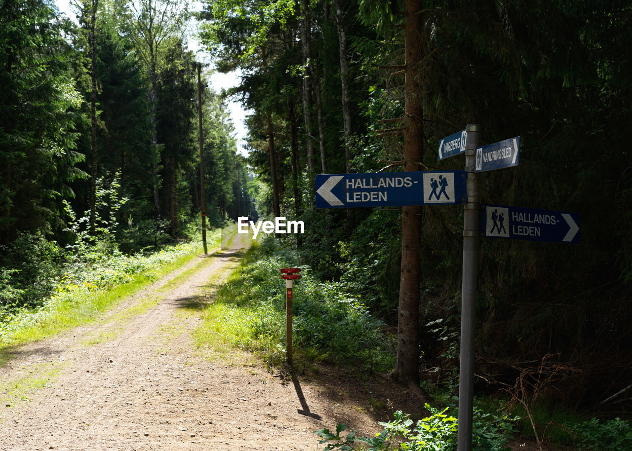 ROAD SIGN BY TREES