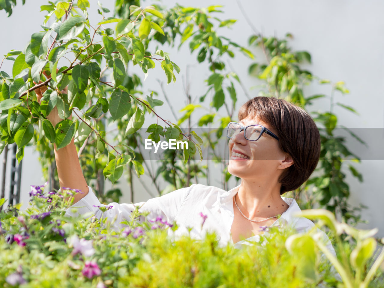 Woman chooses plants and trees for landscaping. shelves with  flowering plants in flower shop. 