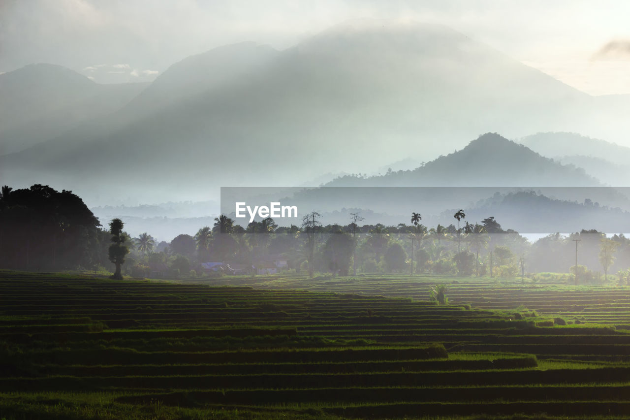 View of mountains and rice fields in the morning with fog and beautiful sunshine in indonesia