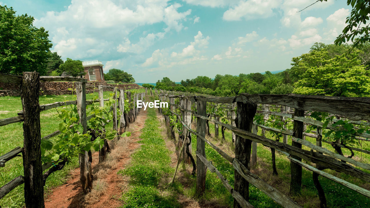 Pathway along countryside landscape