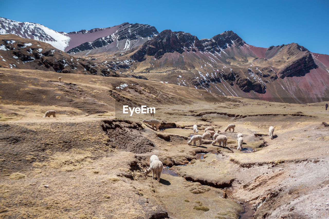 The santa cruz trek in huaraz - peru