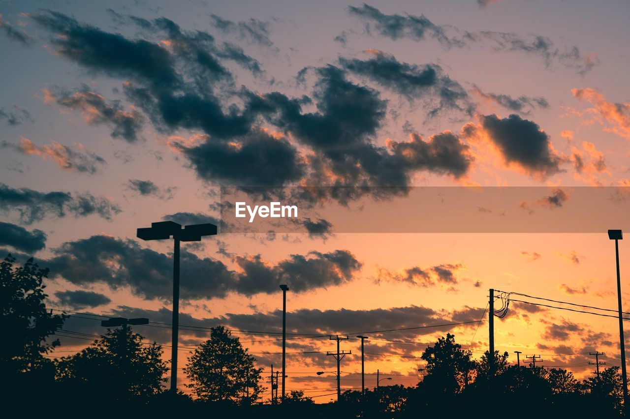 Silhouette of trees at sunset