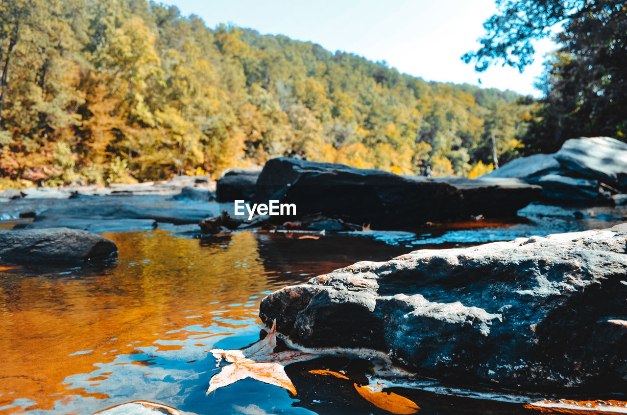 CLOSE-UP OF CRAB BY RIVER AGAINST SKY