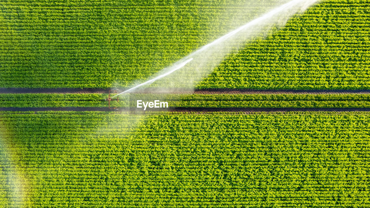 Aerial view by a drone of a farm field being irrigated by a gigantic and powerful irrigation system