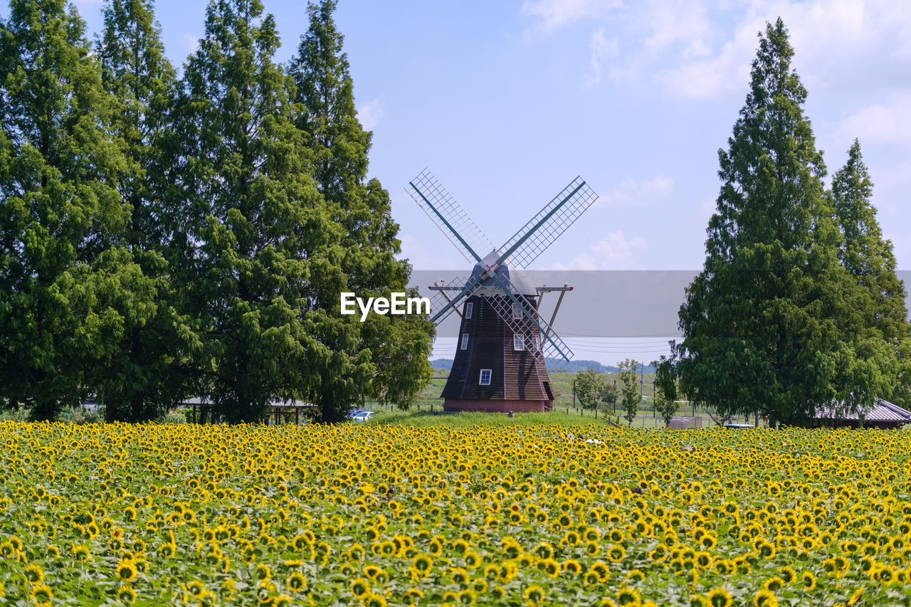 Windmill on field against sky