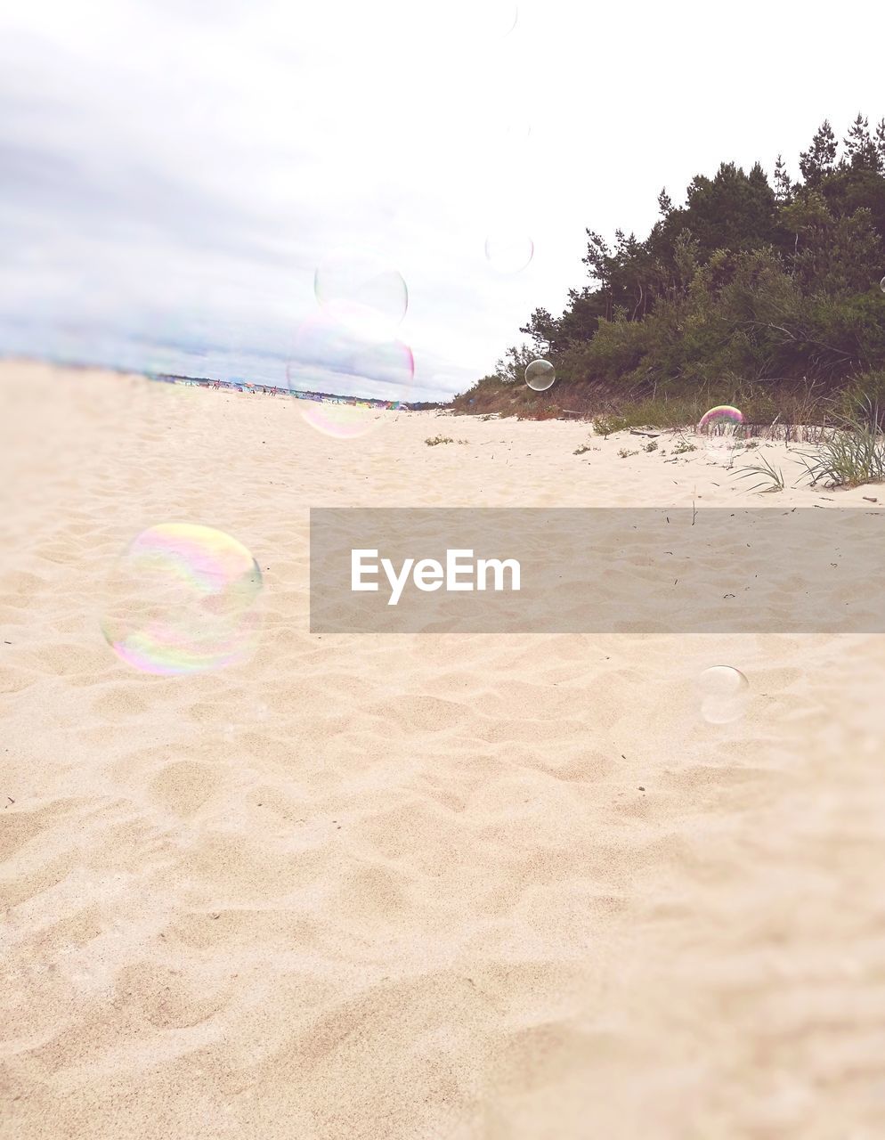 Bubbles at sandy beach