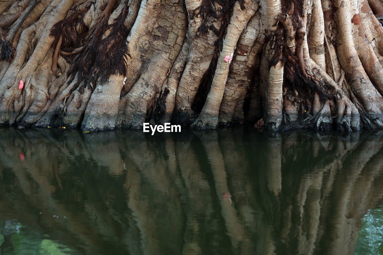 CLOSE-UP OF ROCK FORMATION IN RIVER