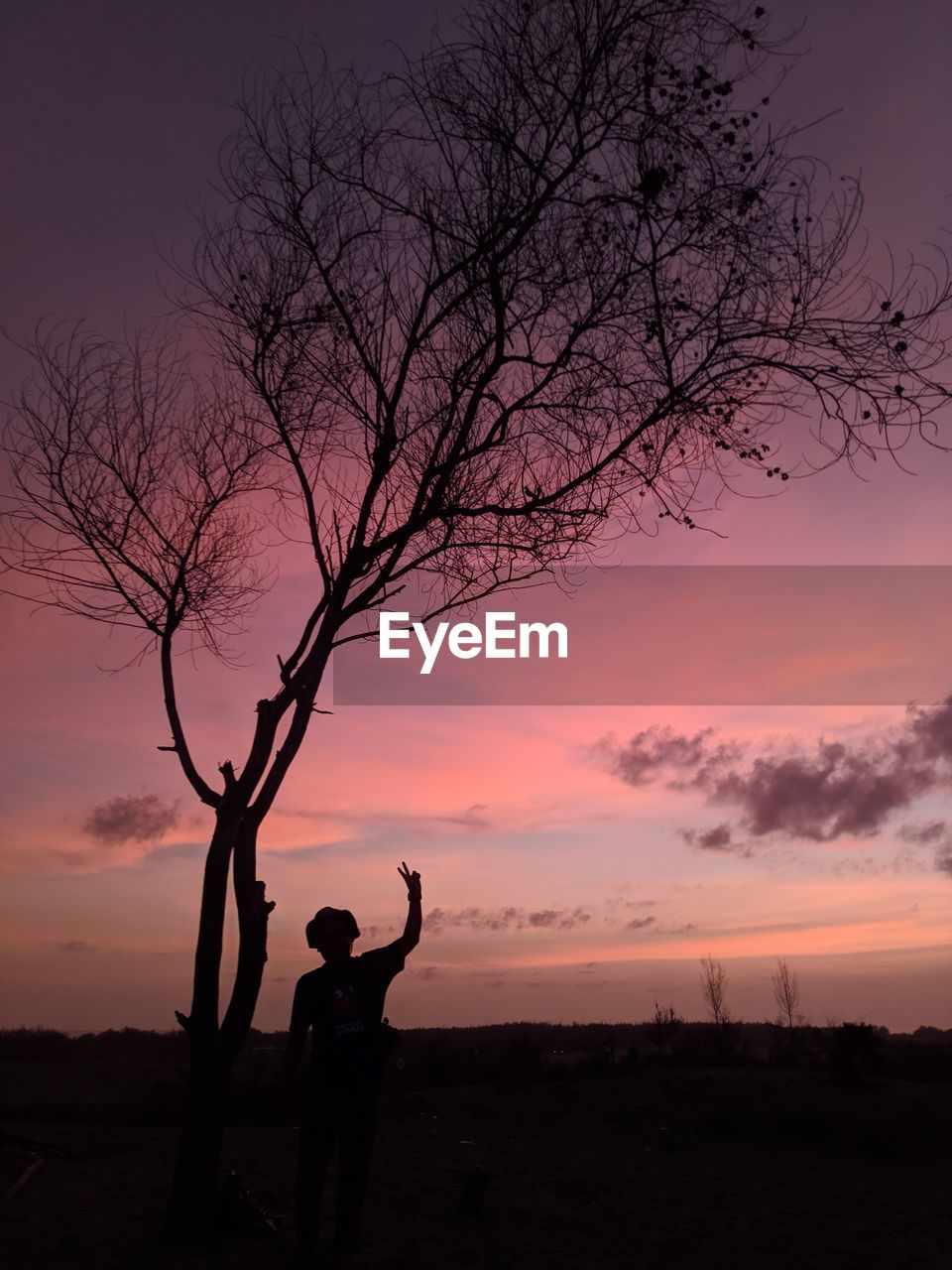 Silhouette man standing by bare tree against sky during sunset