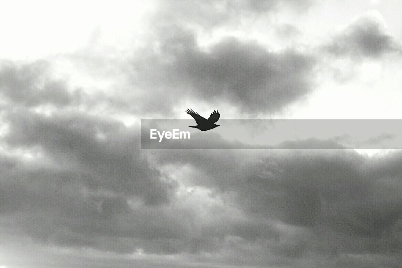 LOW ANGLE VIEW OF AIRPLANE FLYING OVER CLOUDY SKY