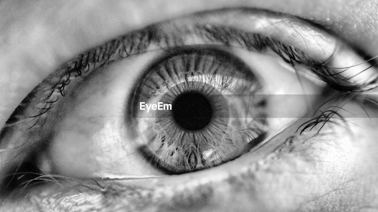 Close-up of human eye
