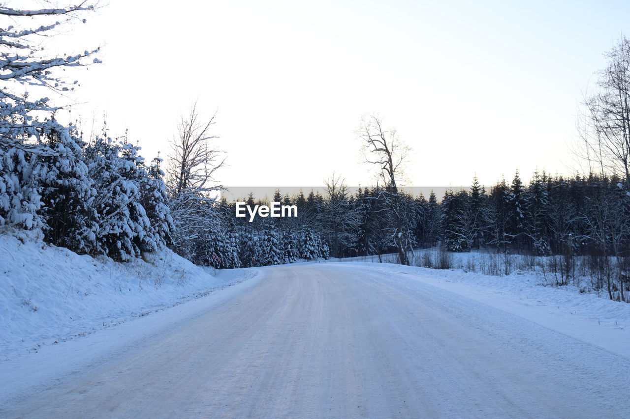 SNOW COVERED ROAD BY TREES AGAINST SKY