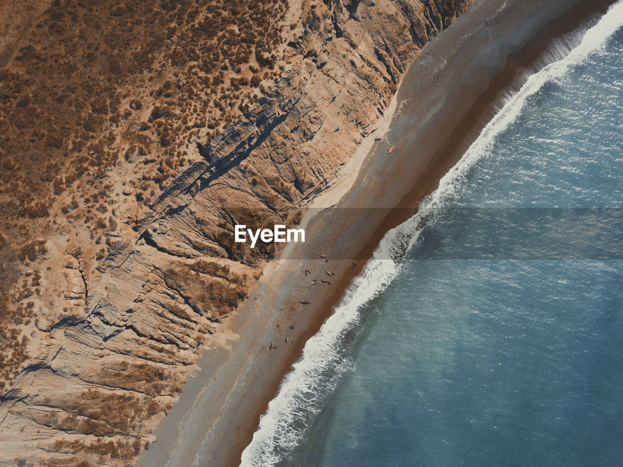 Aerial view of beach