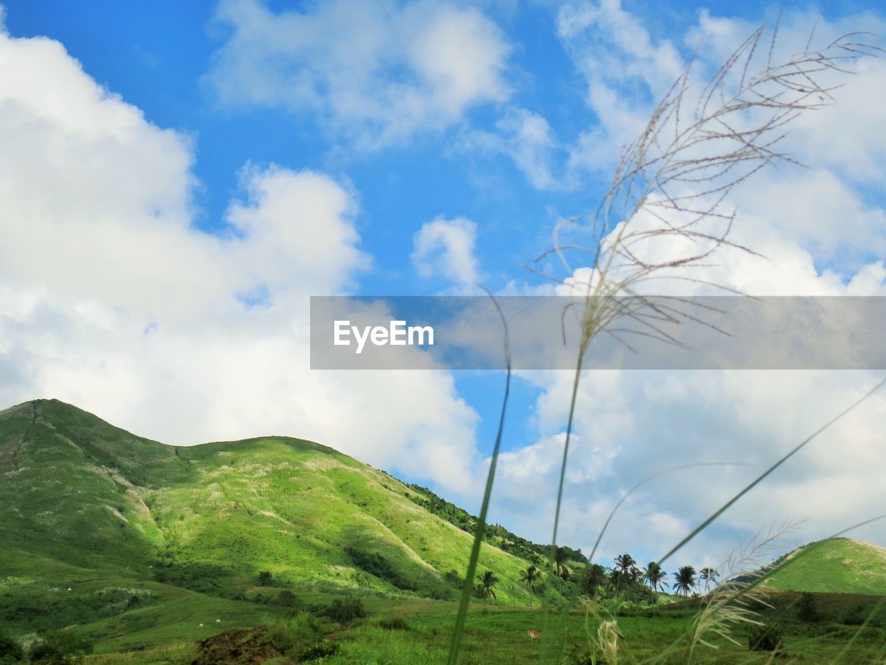 PANORAMIC VIEW OF FIELD AGAINST SKY