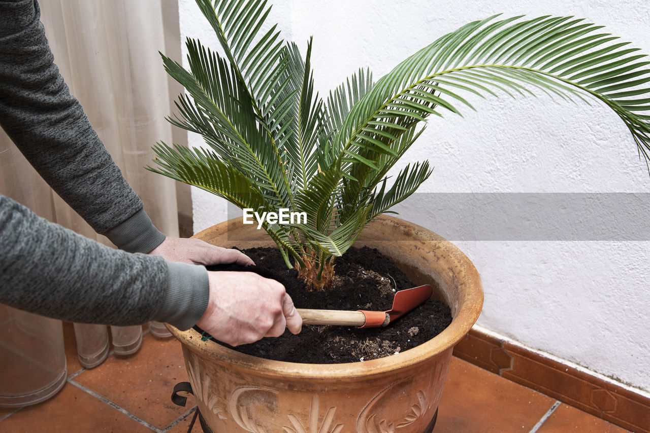 MIDSECTION OF WOMAN HOLDING POTTED PLANTS