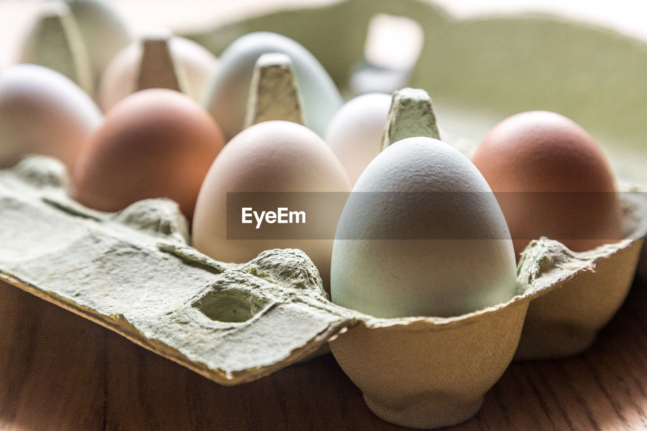 CLOSE-UP OF EGGS IN PLATE