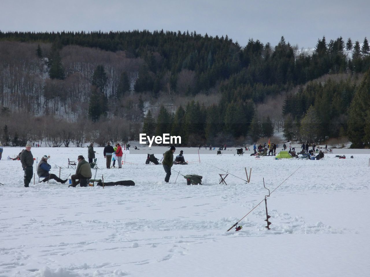 People enjoying on snowy landscape against forest