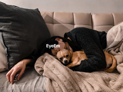 Dog sleeping on sofa hot sale