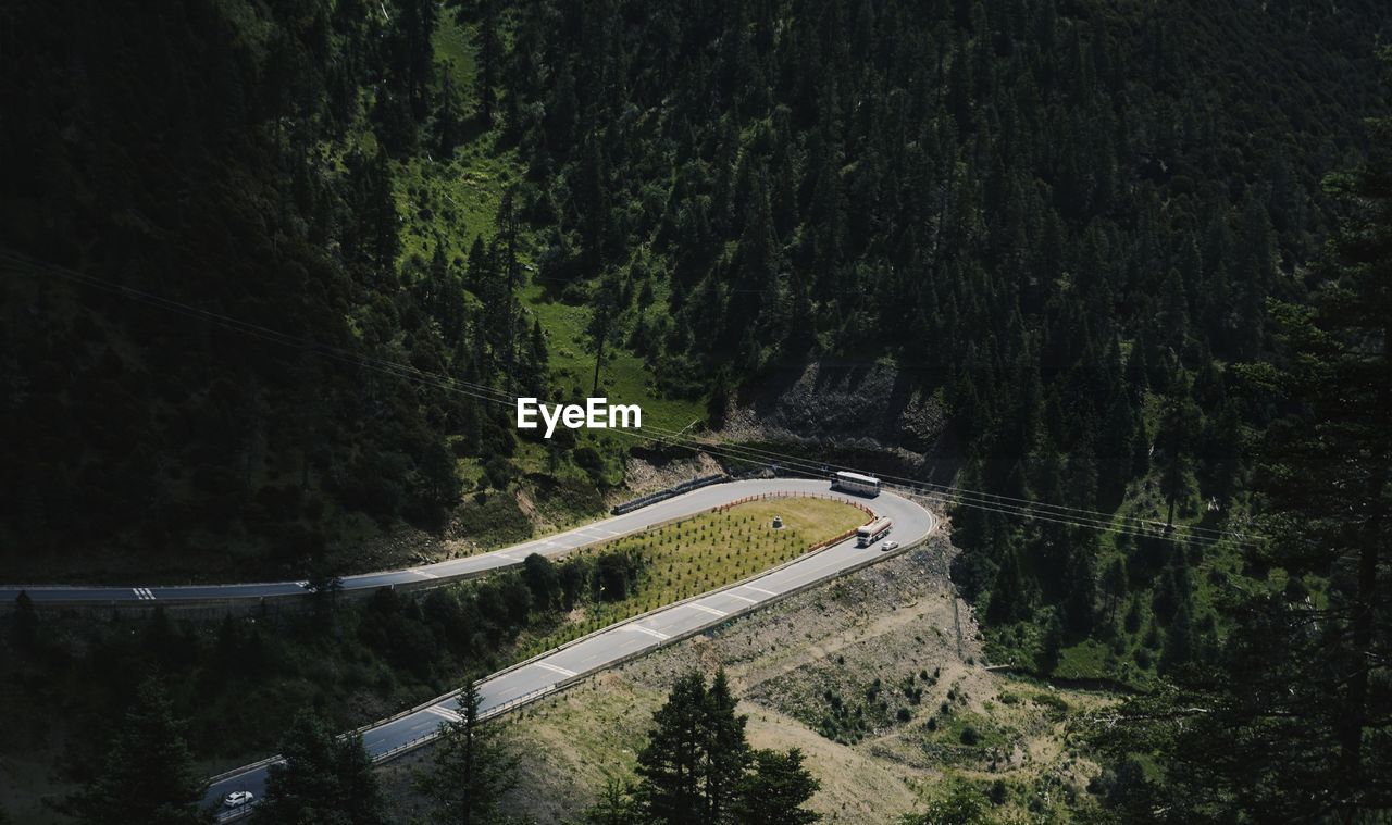 HIGH ANGLE VIEW OF ROAD AMIDST TREES