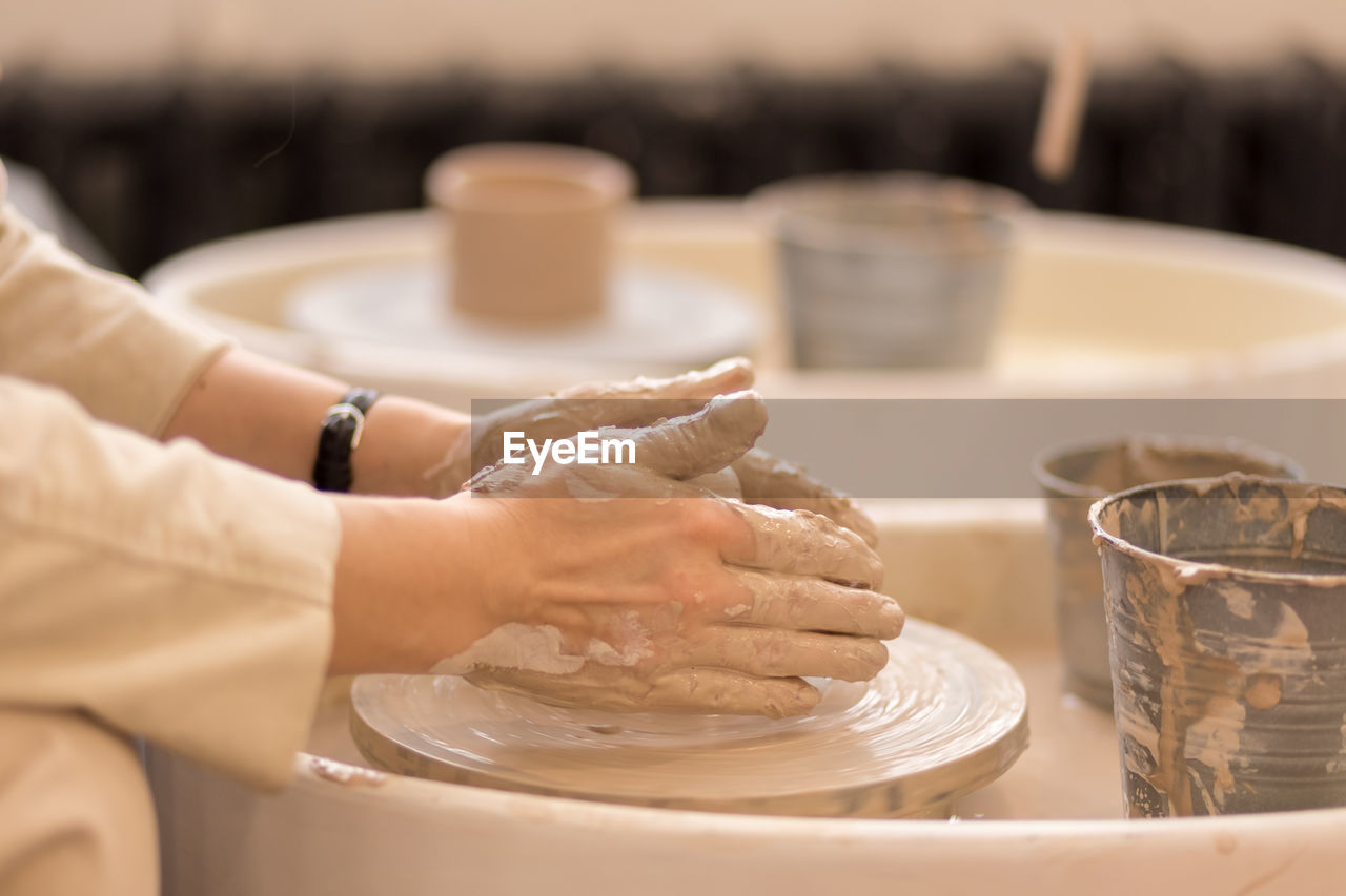 MIDSECTION OF WOMAN PREPARING FOOD IN TRAY