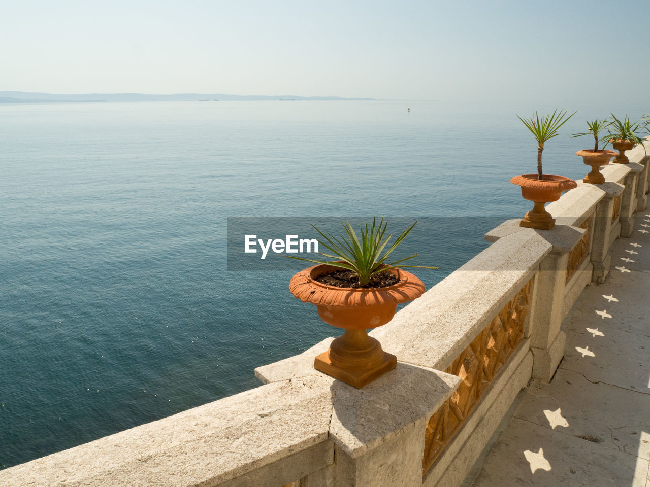POTTED PLANT AGAINST SEA