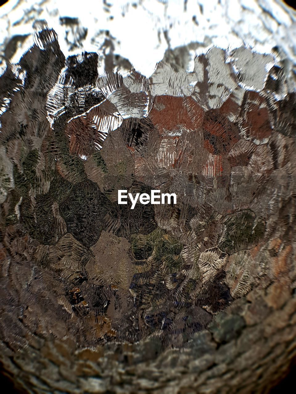 CLOSE-UP OF SNOW ON TREE TRUNK