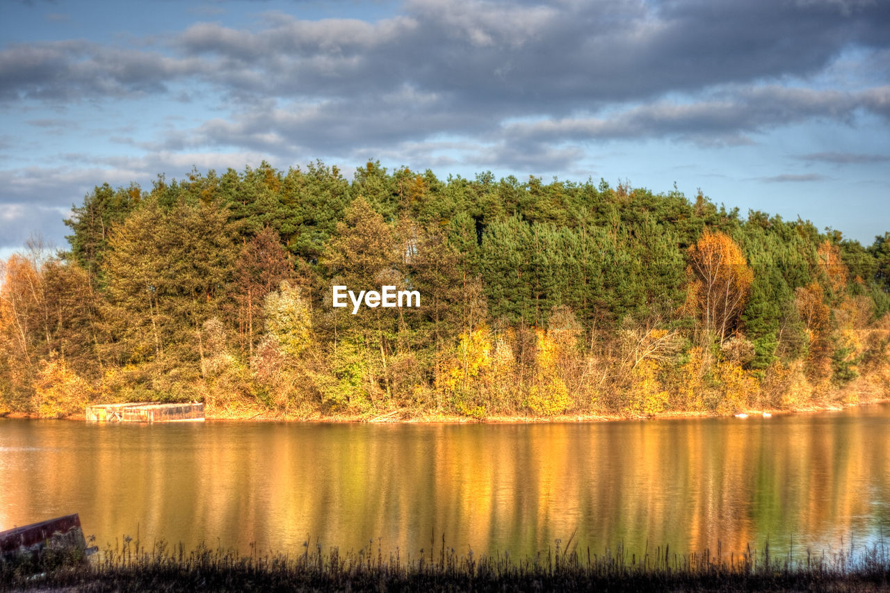 Trees by lake against sky