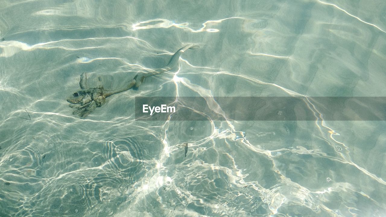 HIGH ANGLE VIEW OF SWIMMING POOL