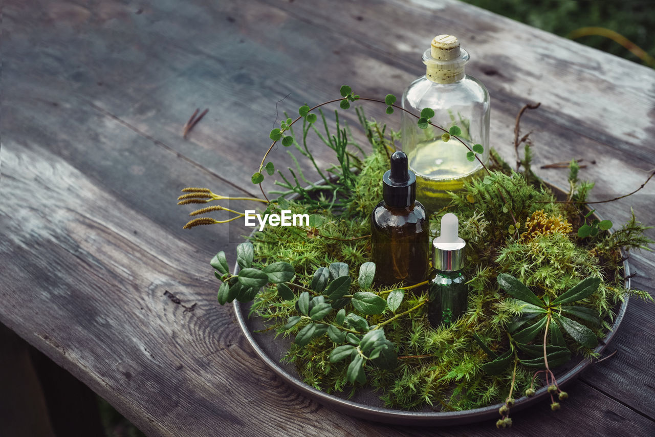 Bottles natural cosmetics serum, tinctures oil with fresh plants on wooden table