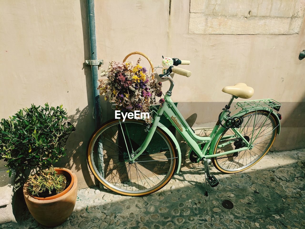 POTTED PLANTS ON WALL BY STREET