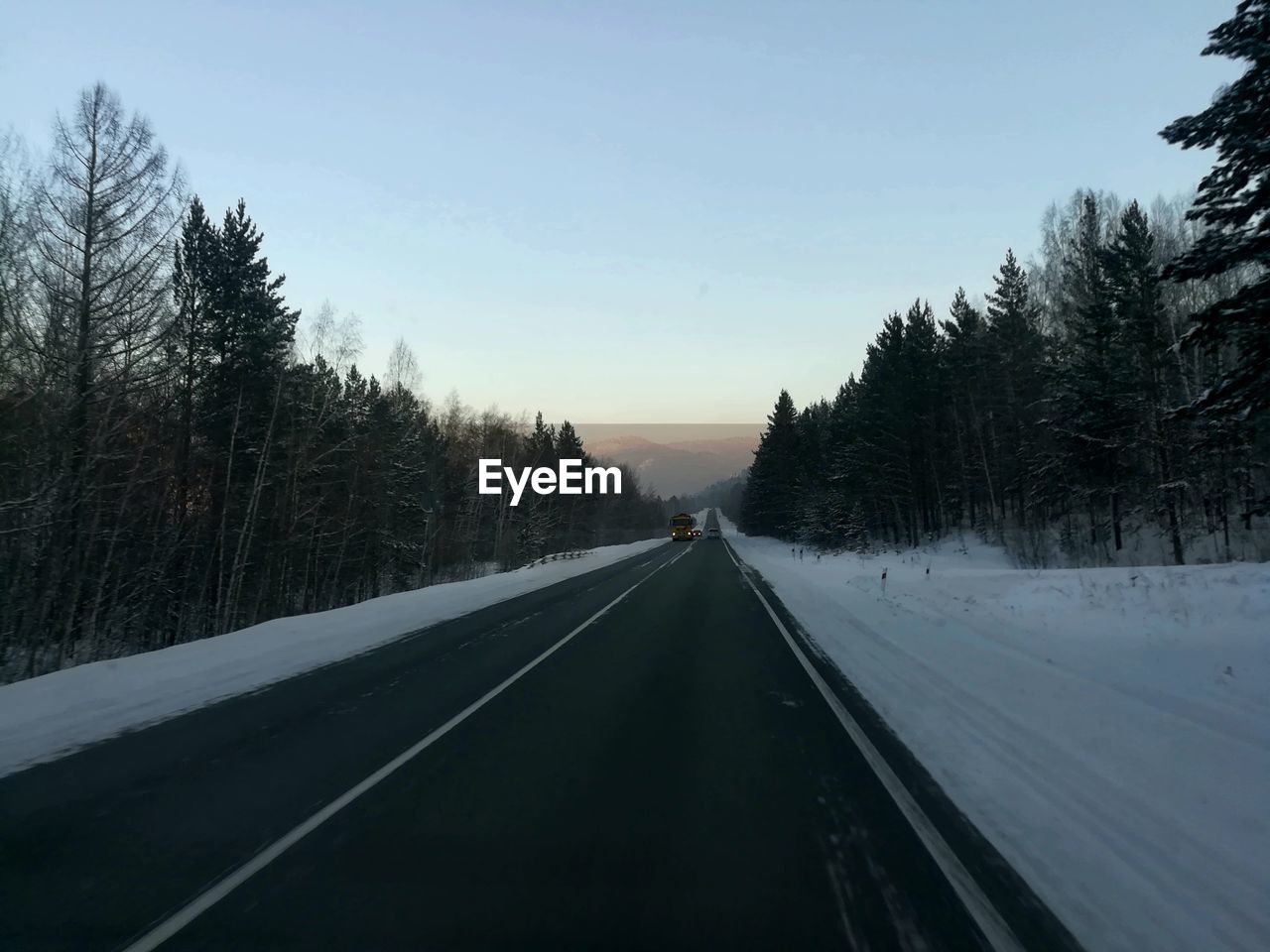 Road amidst trees against sky during winter