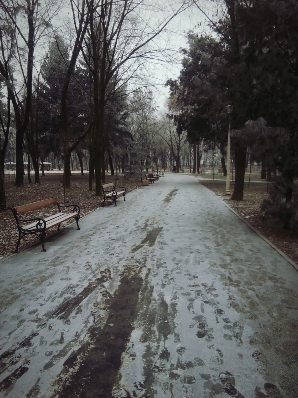 SNOW COVERED ROAD IN WINTER