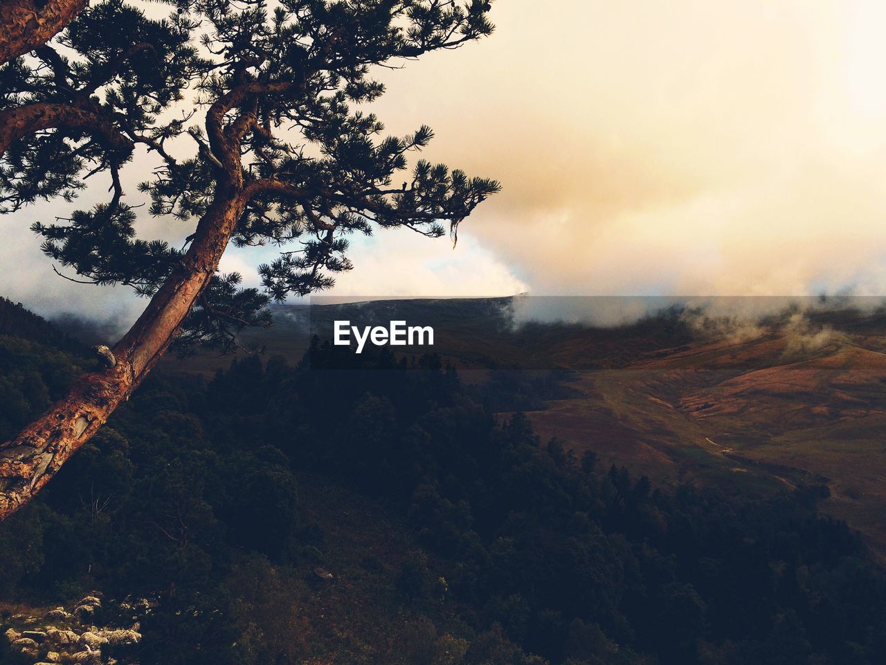 High angle view of field and trees against cloudy sky