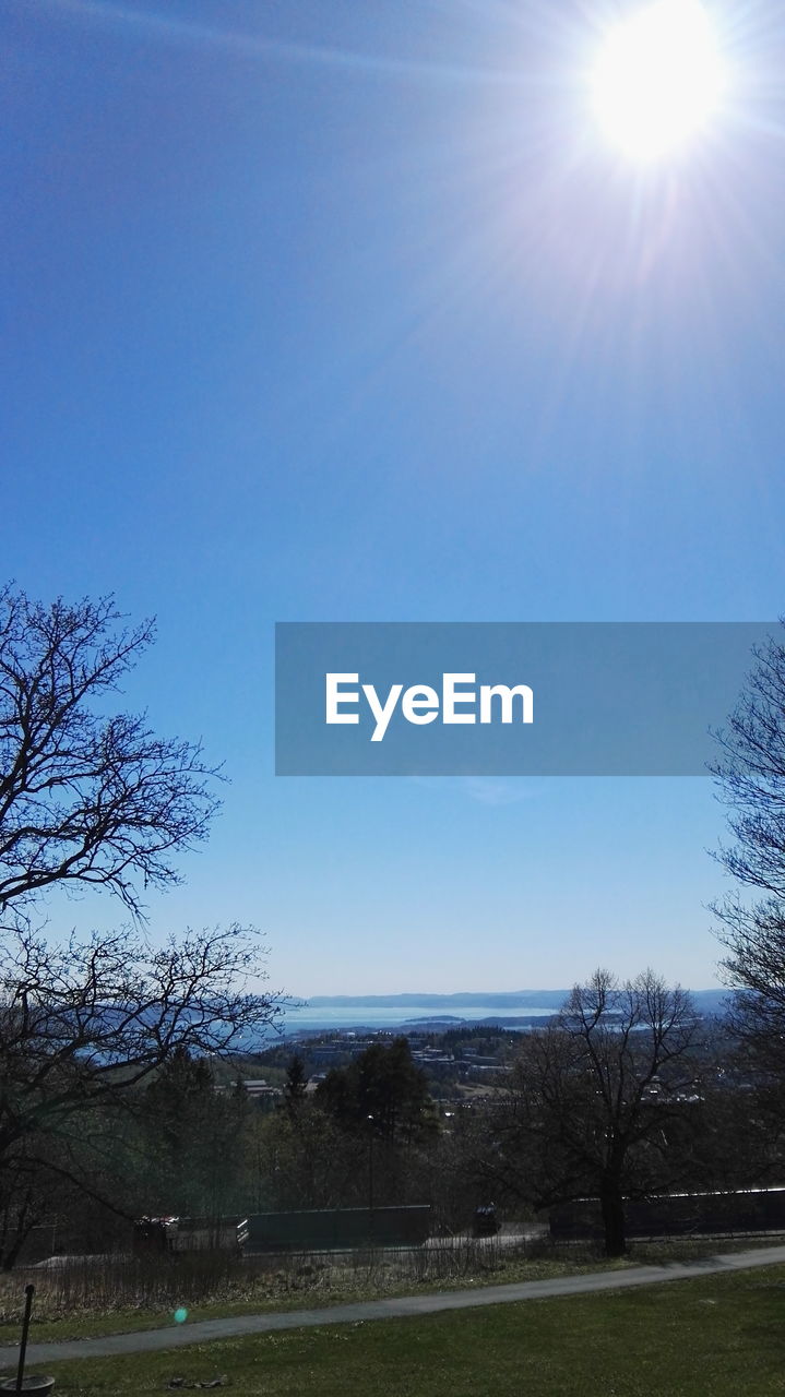 SCENIC VIEW OF BLUE SKY AND TREES AGAINST CLEAR SUNLIGHT